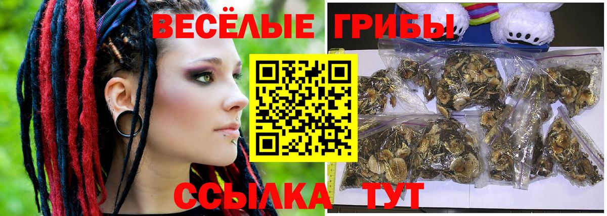 Галлюциногенные грибы Magic Shrooms Назрань